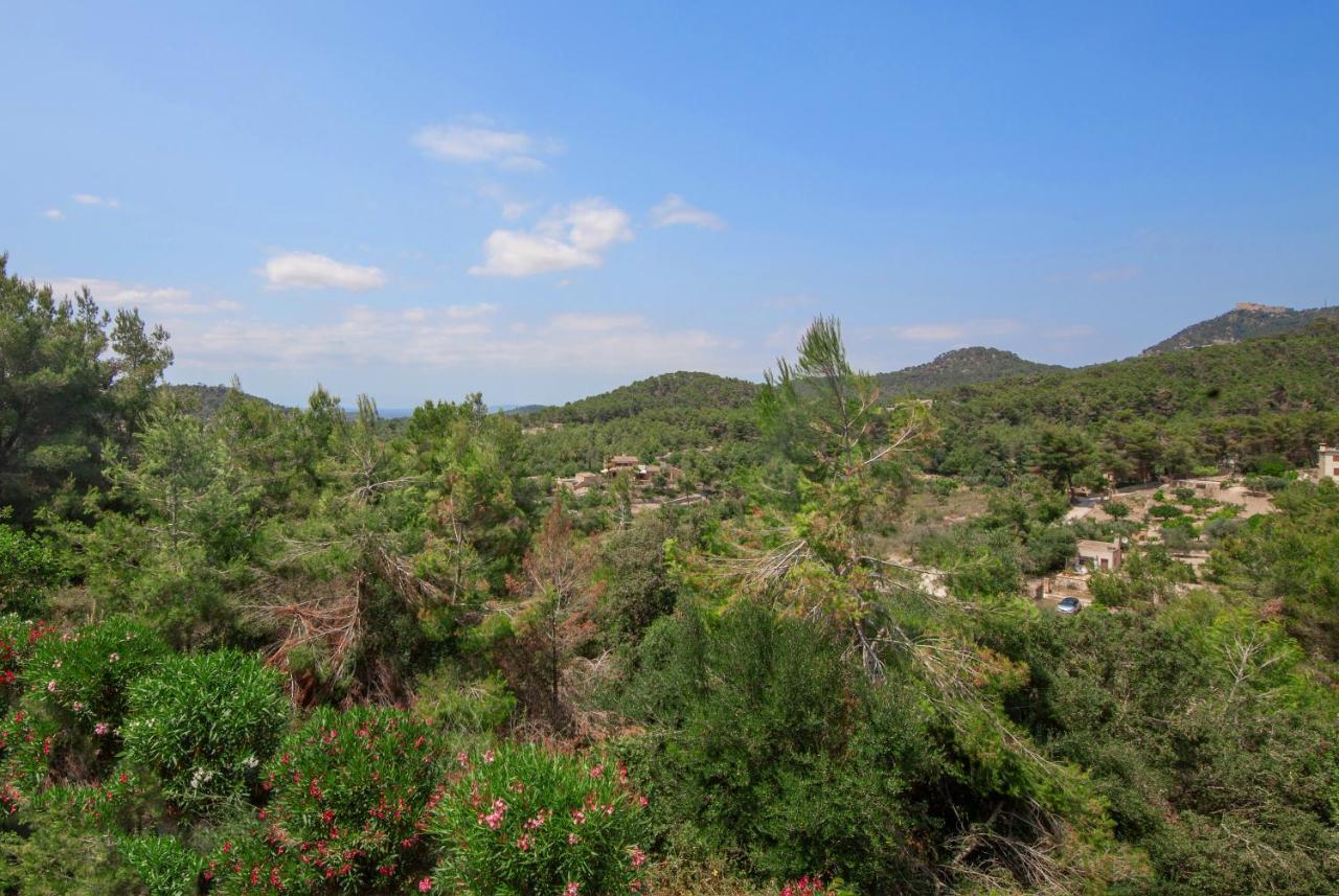 Finca Sa Fuente 费拉尼奇 外观 照片